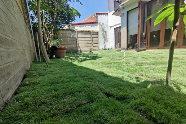 WhatsApp Image 2025-08-11 at 4.40.27 PM (1)