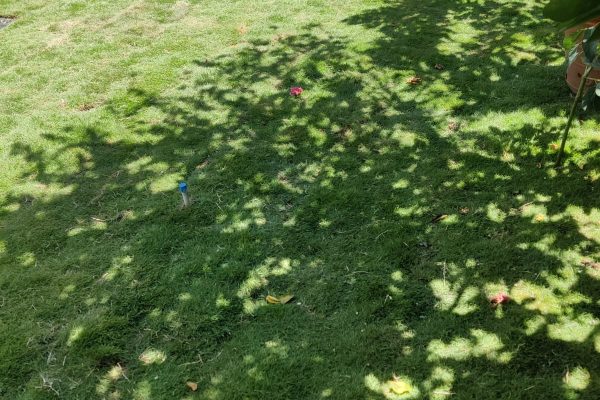 WhatsApp Image 2025-08-11 at 4.40.28 PM