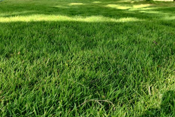 WhatsApp Image 2025-08-11 at 4.40.29 PM (1)