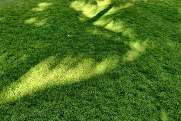 WhatsApp Image 2025-08-11 at 4.40.29 PM (2)