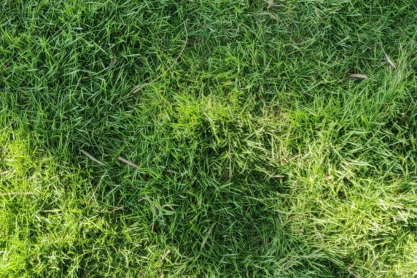 WhatsApp Image 2025-08-11 at 4.40.29 PM (3)