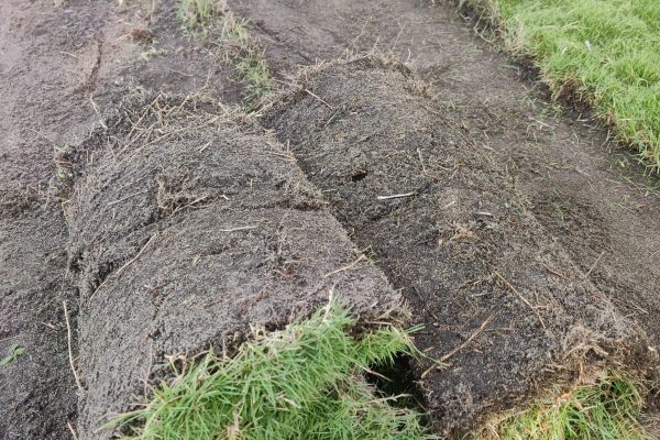 WhatsApp Image 2025-08-11 at 4.40.29 PM