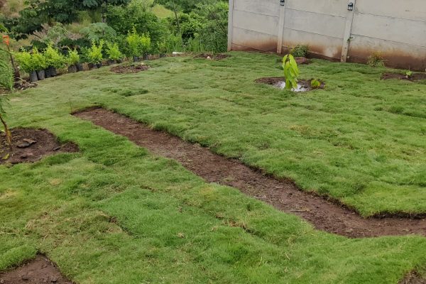 WhatsApp Image 2025-08-11 at 4.42.08 PM (1)