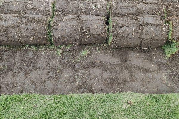 WhatsApp Image 2025-08-11 at 4.42.08 PM