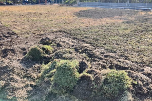 WhatsApp Image 2025-08-11 at 4.45.01 PM (1)