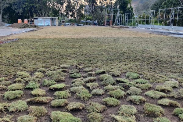 WhatsApp Image 2025-08-11 at 4.45.01 PM