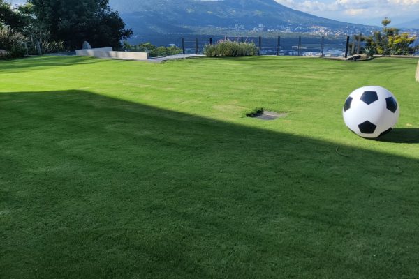 WhatsApp Image 2025-08-11 at 4.45.03 PM (1)