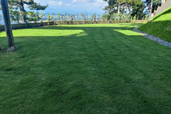 WhatsApp Image 2025-08-11 at 4.45.07 PM