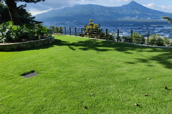 WhatsApp Image 2025-08-11 at 4.45.10 PM