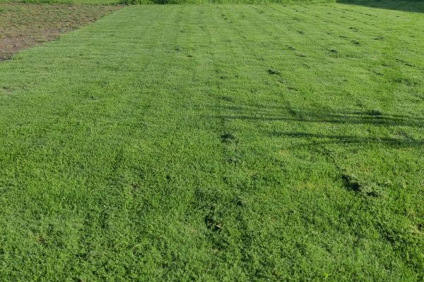 WhatsApp Image 2025-08-11 at 4.45.11 PM (1)