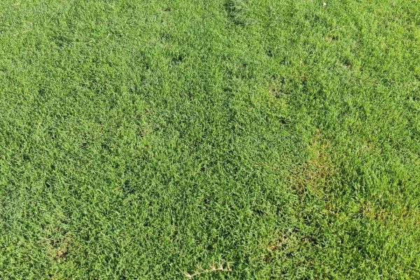 WhatsApp Image 2025-08-11 at 4.45.11 PM