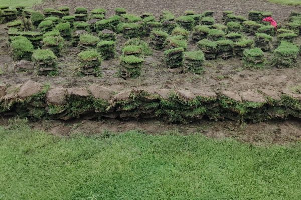 WhatsApp Image 2025-08-11 at 4.45.12 PM (1)