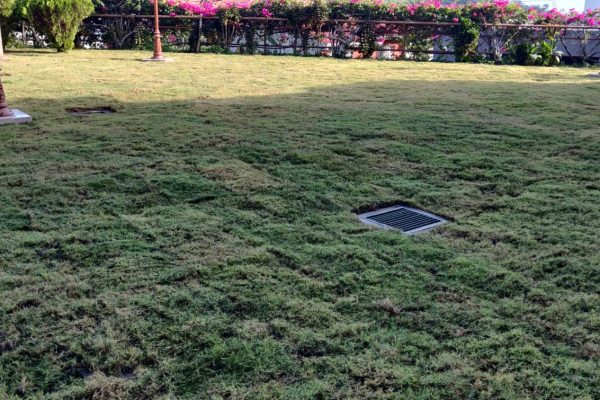 WhatsApp Image 2025-08-11 at 4.45.12 PM (3)