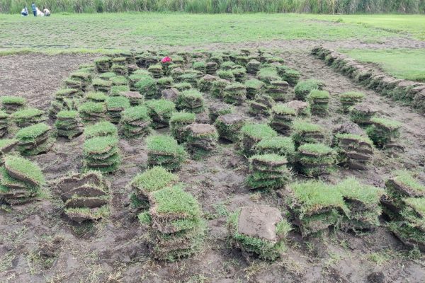 WhatsApp Image 2025-08-11 at 4.45.12 PM