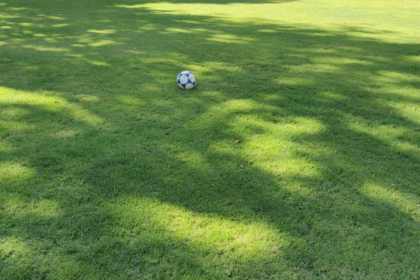 WhatsApp Image 2025-08-11 at 4.45.13 PM (1)