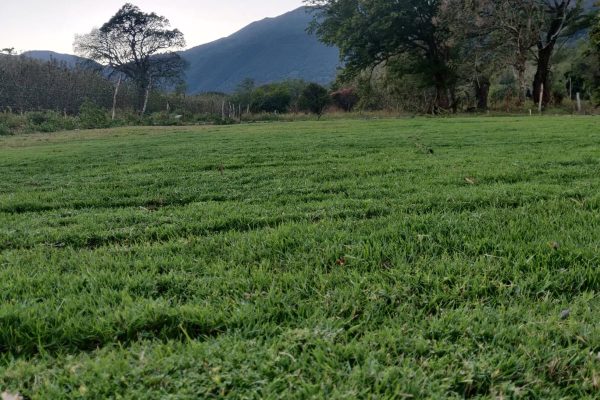 WhatsApp Image 2025-08-11 at 4.45.13 PM (2)