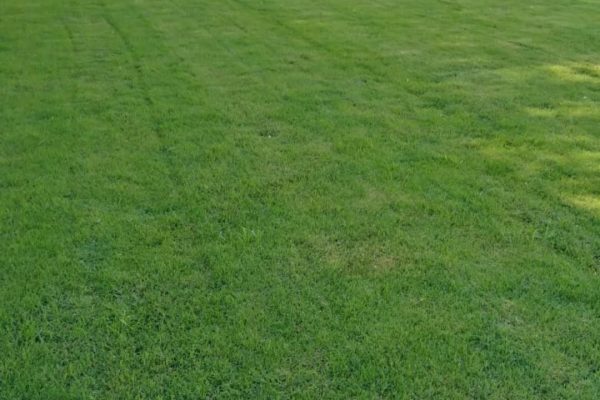 WhatsApp Image 2025-08-11 at 4.45.13 PM (3)