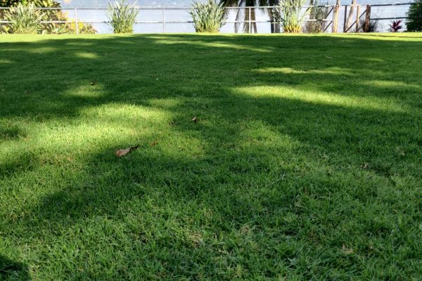 WhatsApp Image 2025-08-11 at 4.45.13 PM