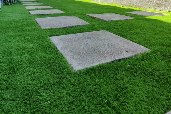 WhatsApp Image 2025-08-11 at 4.48.04 PM (1)