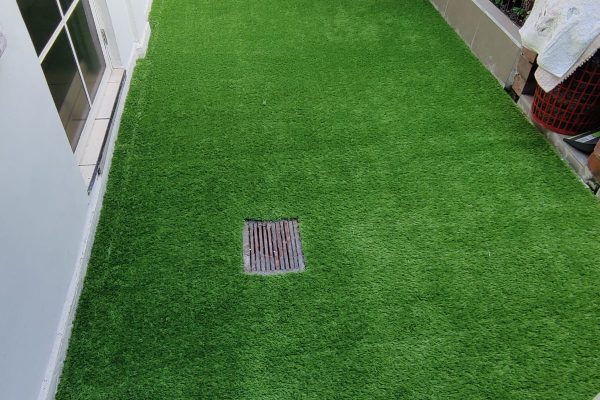 WhatsApp Image 2025-08-11 at 4.48.04 PM (3)