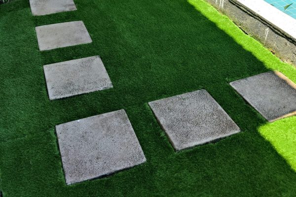 WhatsApp Image 2025-08-11 at 4.48.04 PM