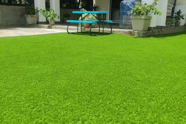 WhatsApp Image 2025-08-11 at 4.48.05 PM (1)