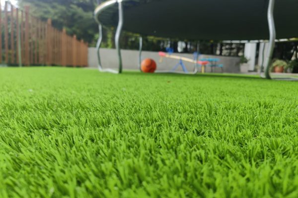 WhatsApp Image 2025-08-11 at 4.48.05 PM (2)