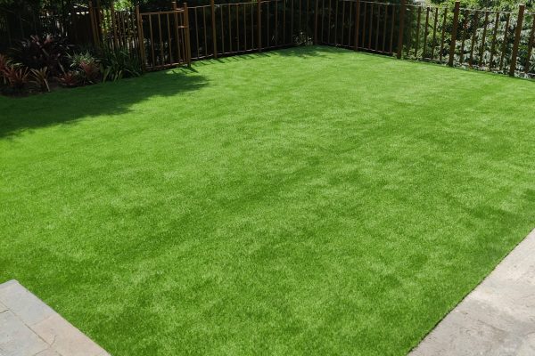 WhatsApp Image 2025-08-11 at 4.48.05 PM (3)