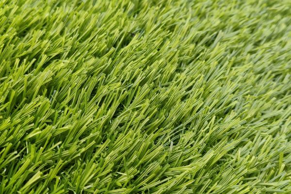 WhatsApp Image 2025-08-11 at 4.48.05 PM