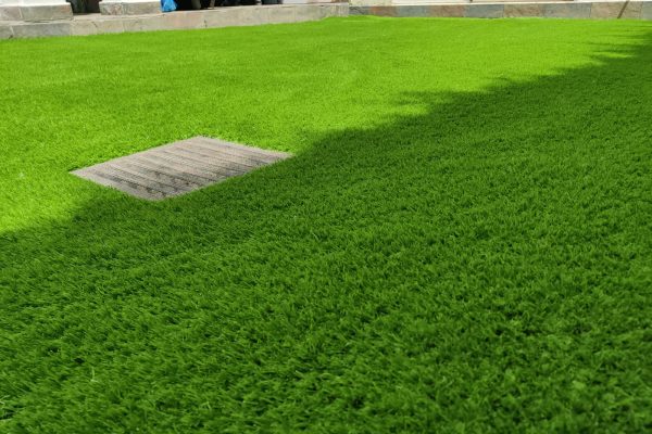 WhatsApp Image 2025-08-11 at 4.48.43 PM