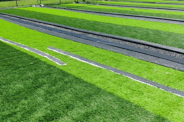 WhatsApp Image 2025-08-11 at 4.49.54 PM