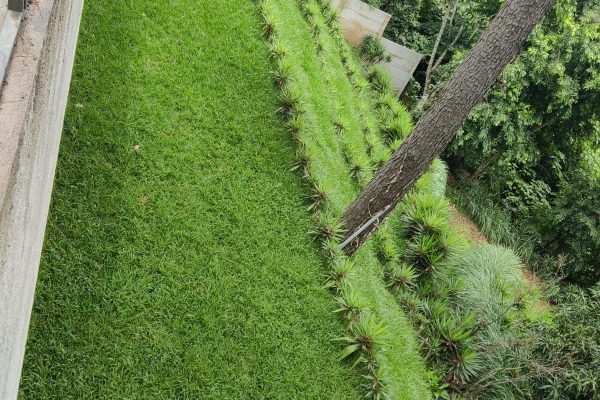 WhatsApp Image 2025-09-02 at 12.41.36 PM (1)