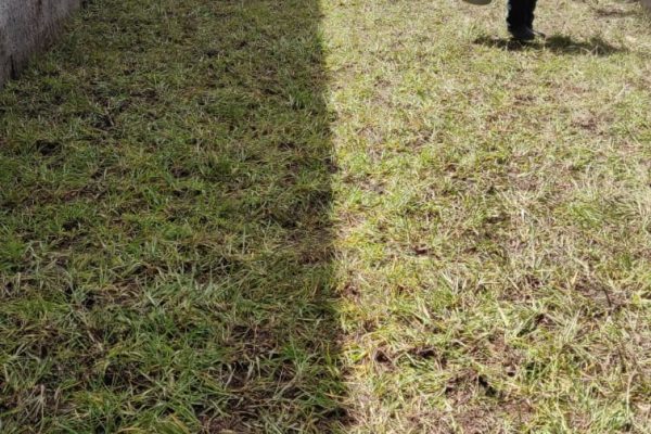 WhatsApp Image 2025-09-02 at 12.41.36 PM (2)