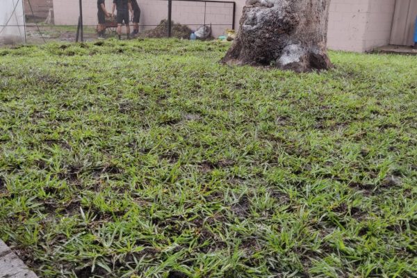 WhatsApp Image 2025-09-02 at 12.41.36 PM (3)