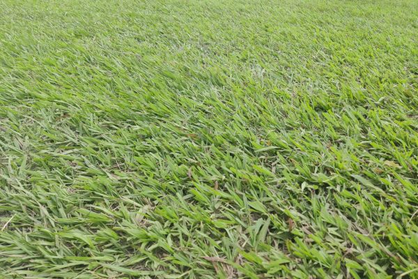 WhatsApp Image 2025-09-02 at 12.41.36 PM