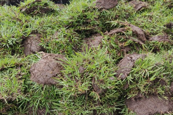 WhatsApp Image 2025-09-02 at 12.41.37 PM (1)