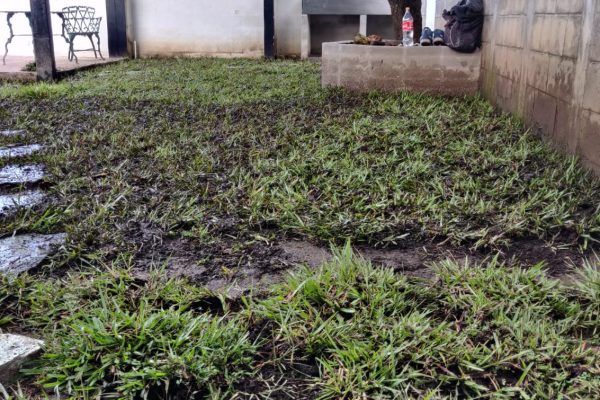 WhatsApp Image 2025-09-02 at 12.41.37 PM (3)