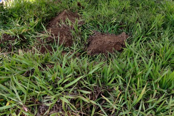 WhatsApp Image 2025-09-02 at 12.41.37 PM (6)