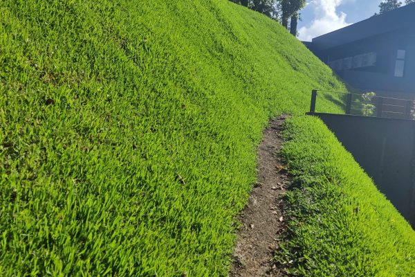 WhatsApp Image 2025-09-02 at 12.44.44 PM (1)