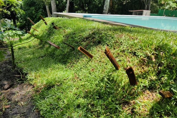 WhatsApp Image 2025-09-02 at 12.44.44 PM (2)