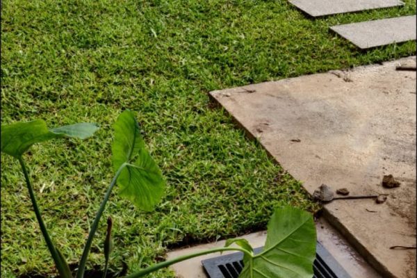 WhatsApp Image 2025-09-02 at 12.44.44 PM (3)