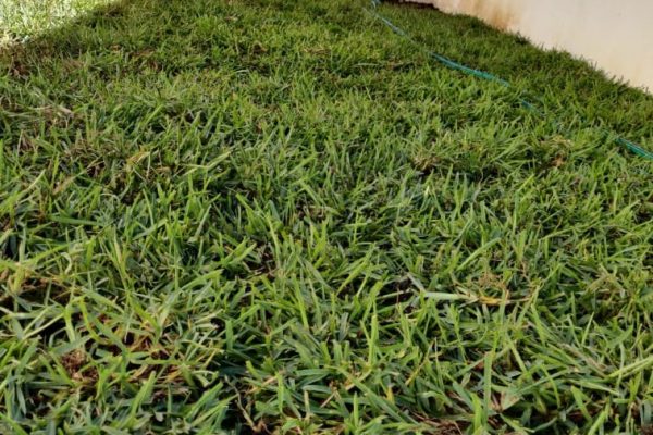 WhatsApp Image 2025-09-02 at 12.44.44 PM (5)