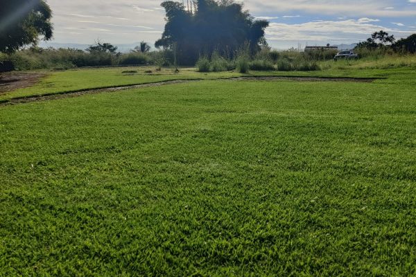 WhatsApp Image 2025-09-02 at 12.44.44 PM