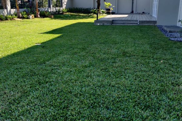 WhatsApp Image 2025-09-02 at 12.44.45 PM (1)